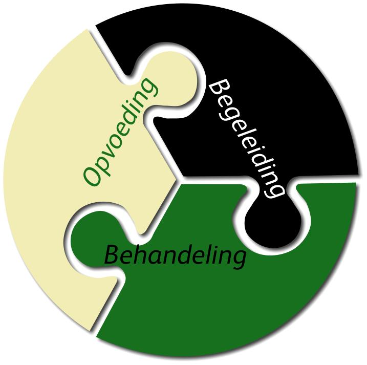 Schematisch-overzicht-werkwijze Schematisch-overzicht-werkwijze